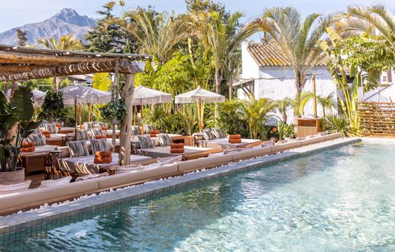 COYA Pool